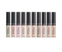 THE SAEM Cover Perfection Tip Concealer